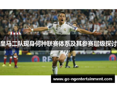 皇马二队现身何种联赛体系及其参赛层级探讨