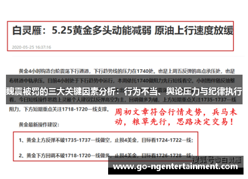 魏震被罚的三大关键因素分析：行为不当、舆论压力与纪律执行