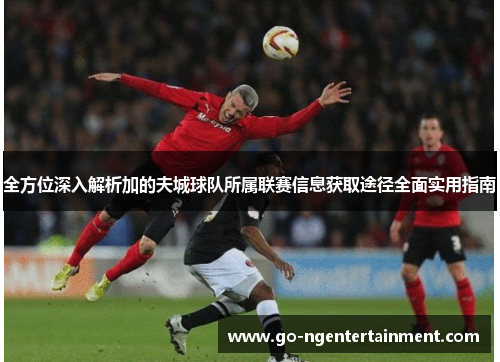 全方位深入解析加的夫城球队所属联赛信息获取途径全面实用指南