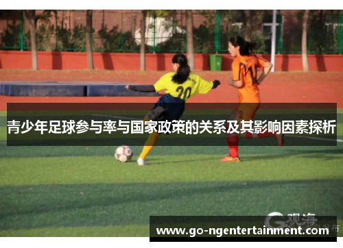 青少年足球参与率与国家政策的关系及其影响因素探析
